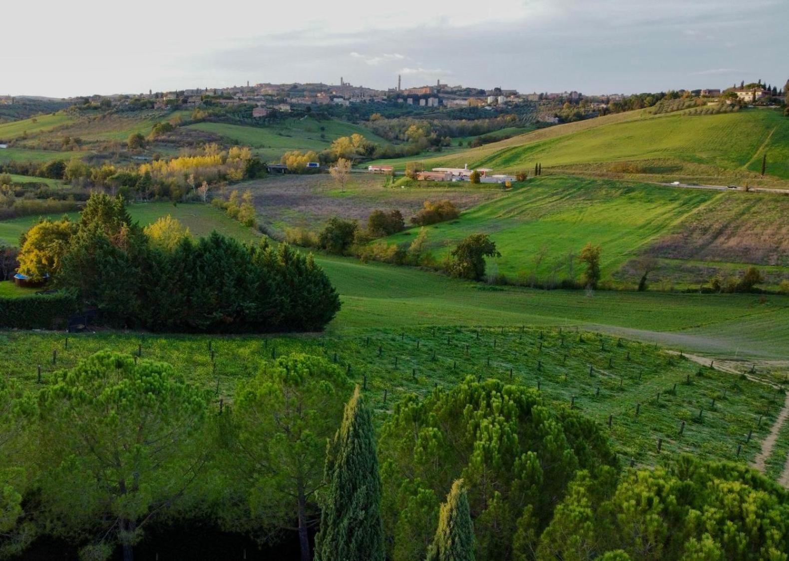 Agriturismo La Terrazza Sul Mangia เซียนา ภายนอก รูปภาพ