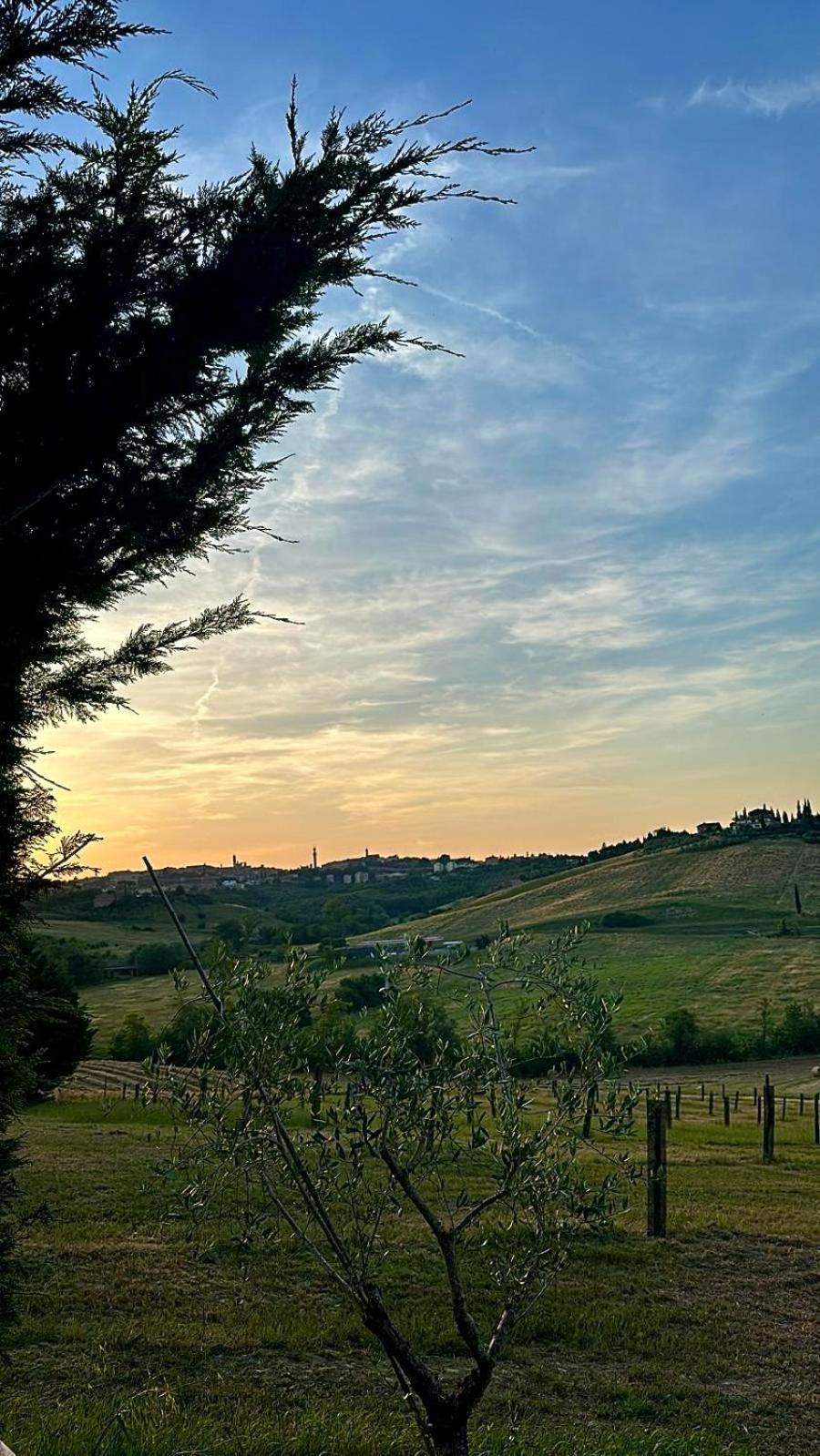 Agriturismo La Terrazza Sul Mangia เซียนา ภายนอก รูปภาพ